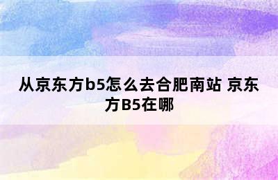 从京东方b5怎么去合肥南站 京东方B5在哪